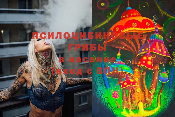дурь Карталы